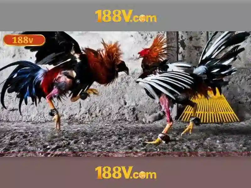 Tin Tức - 188v - Xevon