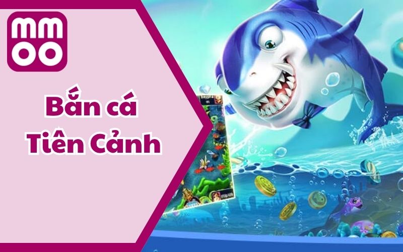 Kiến Thức - MMOO - Xevon Kiến Thức - MMOO - Xevon