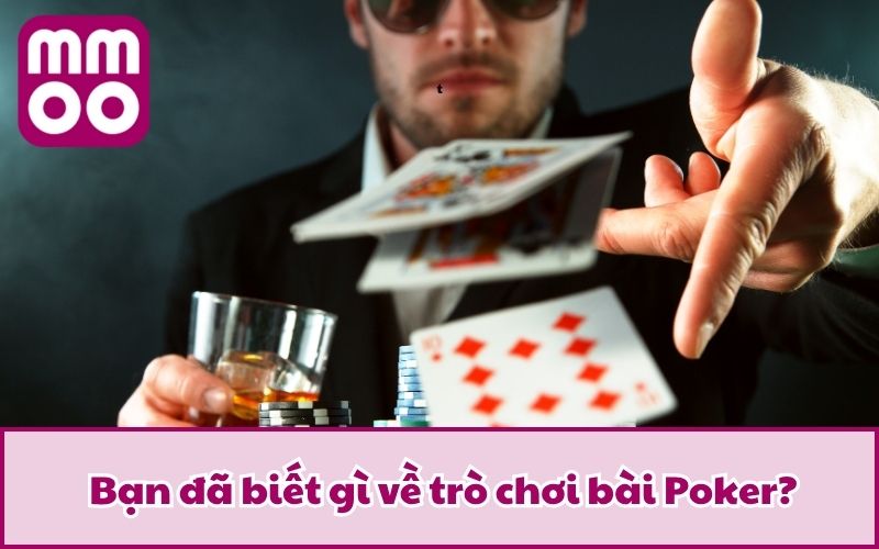 Hướng Dẫn Chơi Poker Từng Bước Cho Tân Thủ Gia Nhập - Xevon Hướng Dẫn Chơi Poker Từng Bước Cho Tân Thủ Gia Nhập - Xevon