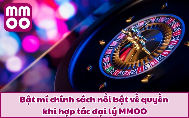 Hợp Tác Đại Lý MMOO - Nhận Ngay Ưu Đãi Đặc Biệt Tháng 6/2026 - Xevon Hợp Tác Đại Lý MMOO - Nhận Ngay Ưu Đãi Đặc Biệt Tháng 6/2026 - Xevon