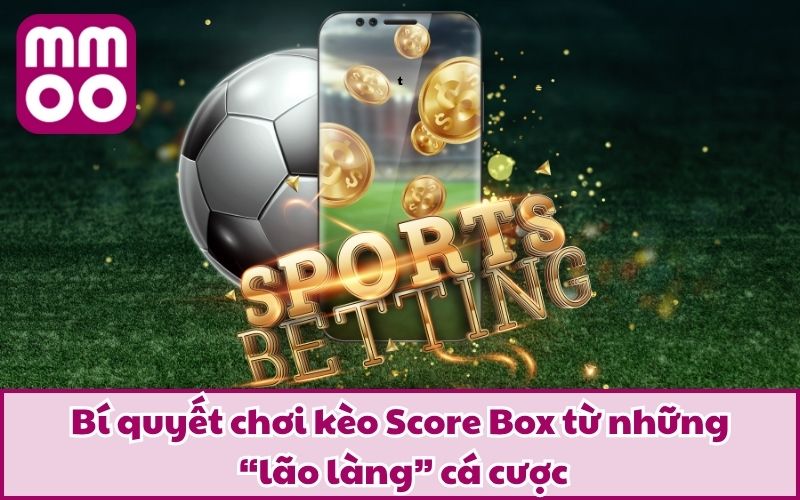 Kèo Score Box Là Gì? Cách Phân Loại Cùng Bí Kíp Của Cao Thủ - Xevon Kèo Score Box Là Gì? Cách Phân Loại Cùng Bí Kíp Của Cao Thủ - Xevon