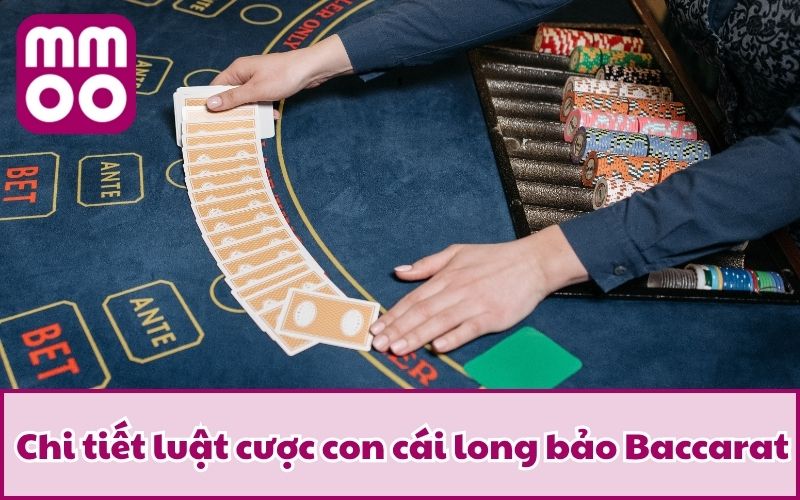 Làm Chủ Long Bảo Baccarat Cùng MMOO | Cập Nhật 2026 - Xevon Làm Chủ Long Bảo Baccarat Cùng MMOO | Cập Nhật 2026 - Xevon