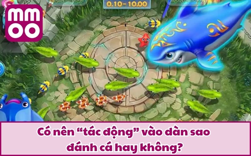 Hack Dàn Sao Đánh Cá Là Gì? Thủ Thuật Được Chú Ý Nhất 2026? - Xevon Hack Dàn Sao Đánh Cá Là Gì? Thủ Thuật Được Chú Ý Nhất 2026? - Xevon