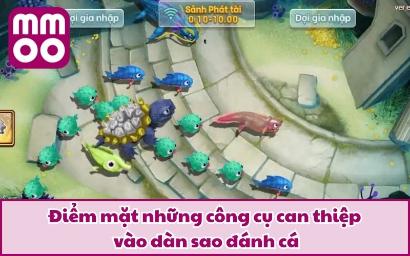 Hack Dàn Sao Đánh Cá Là Gì? Thủ Thuật Được Chú Ý Nhất 2026? - Xevon Hack Dàn Sao Đánh Cá Là Gì? Thủ Thuật Được Chú Ý Nhất 2026? - Xevon