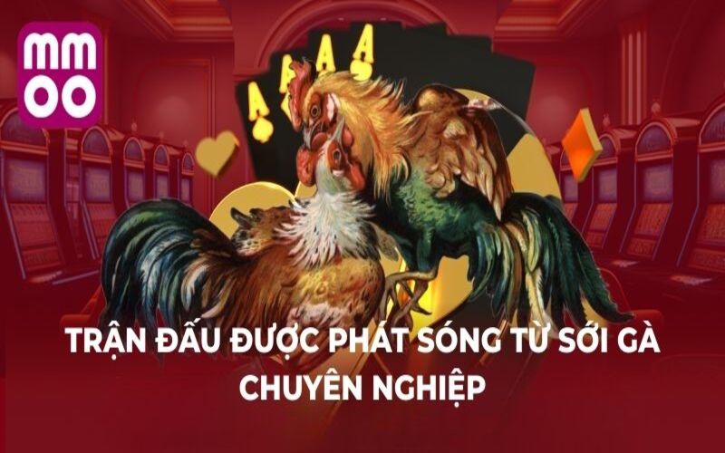 MMOO | Trang Chủ MMOO.COM Chính Thức - Xevon MMOO | Trang Chủ MMOO.COM Chính Thức - Xevon