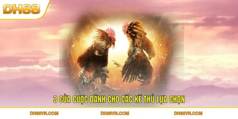Đá Gà DH88 - Sảnh Chọi Kê Online Bạc Tỷ Hàng Đầu Việt Nam - Xevon