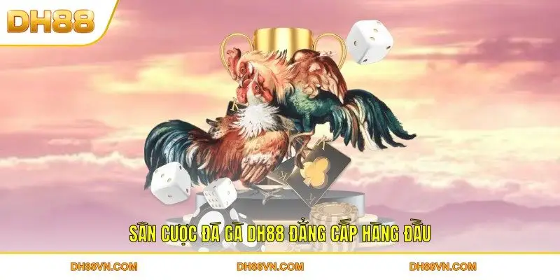 Đá Gà DH88 - Sảnh Chọi Kê Online Bạc Tỷ Hàng Đầu Việt Nam - Xevon