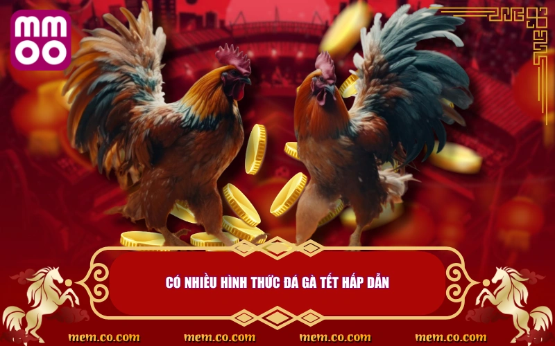 Đá Gà Tết Thử Vận May, Săn Lộc Cực Khủng Ngày Đầu Năm - Xevon Đá Gà Tết Thử Vận May, Săn Lộc Cực Khủng Ngày Đầu Năm - Xevon