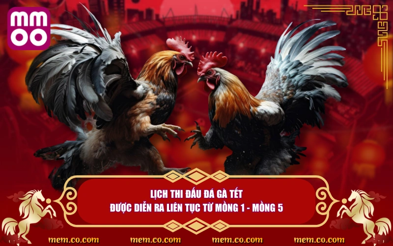 Đá Gà Tết Thử Vận May, Săn Lộc Cực Khủng Ngày Đầu Năm - Xevon Đá Gà Tết Thử Vận May, Săn Lộc Cực Khủng Ngày Đầu Năm - Xevon