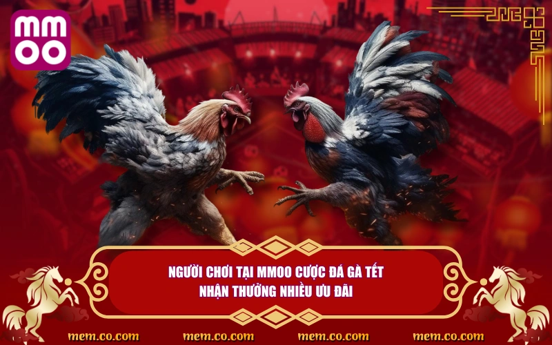 Đá Gà Tết Thử Vận May, Săn Lộc Cực Khủng Ngày Đầu Năm - Xevon Đá Gà Tết Thử Vận May, Săn Lộc Cực Khủng Ngày Đầu Năm - Xevon